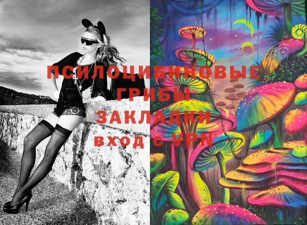 дживик Заволжье