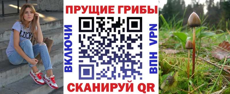 Купить где  Покачи  Галлюциногенные грибы Cubensis 
